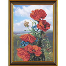 Poppies. 38x54 cm