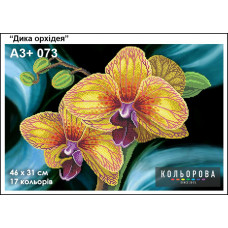 wild orchid
