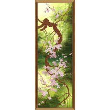 Kvitucha sakura