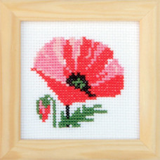 Poppy. 9x9 cm