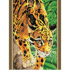Wild leopard