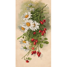 Chamomile and herb