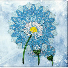 daisy season