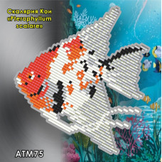 Scalaria Koi (Pterophyllum scalare). magnet