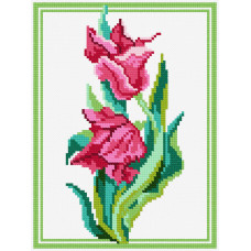 Schrenk's tulip. 15x20 cm