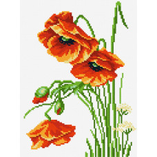 Poppies. 18x25 cm