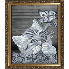 Koshenya in a cat
