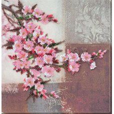 Gilka sakuri