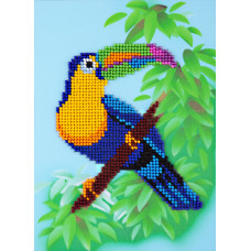 Toucan