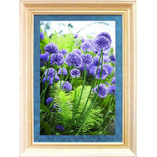 Alliums
