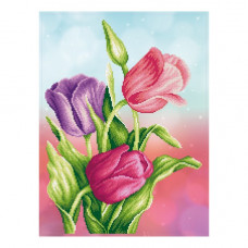 spring beauty