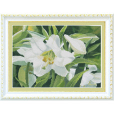 Lily
