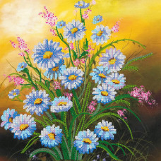 PolyovÑ daisies