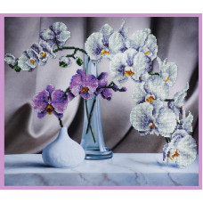 Still life with orchids