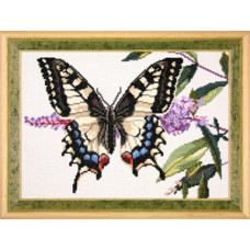 Blizzards. 23x31 cm. Swallowtail on buddleia