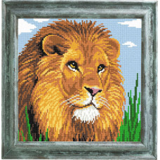 a lion
