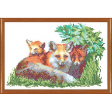 foxes