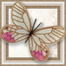 Cytherias Piropina (magnet)
