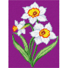 Bouquet Narcisiv, 15x20 cm