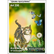 Tsikava progulyanka
