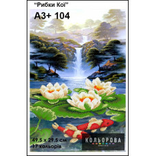 Ribki Koi