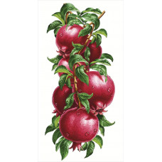 Juice pomegranate