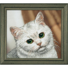 white cat