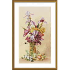 Rainbow irises. 27.3x46.4 cm