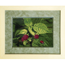 Raspberries