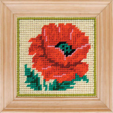 Turkish poppy